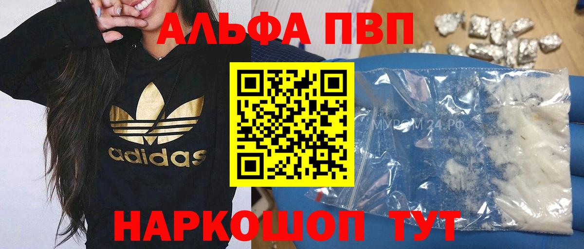 Альфа ПВП СК Химки