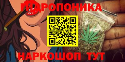 скорость Камышлов