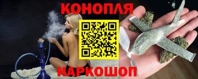 шишки Канаш
